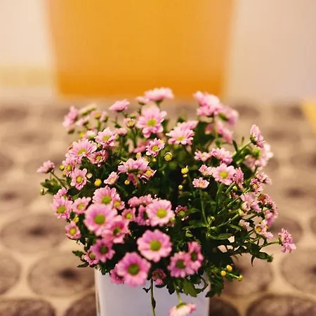 Gallery 卢布尔雅那